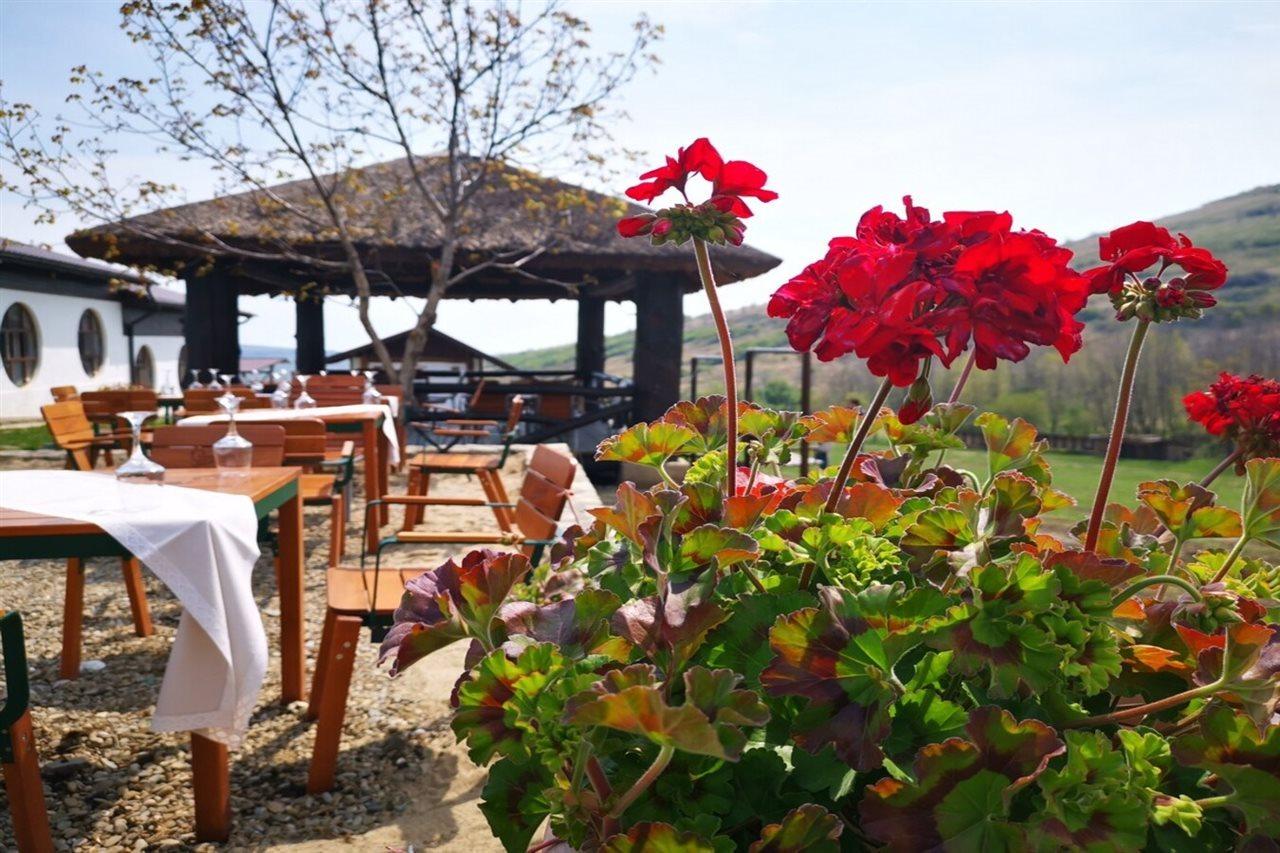 Hotel Ferma Dacilor Tohani Esterno foto