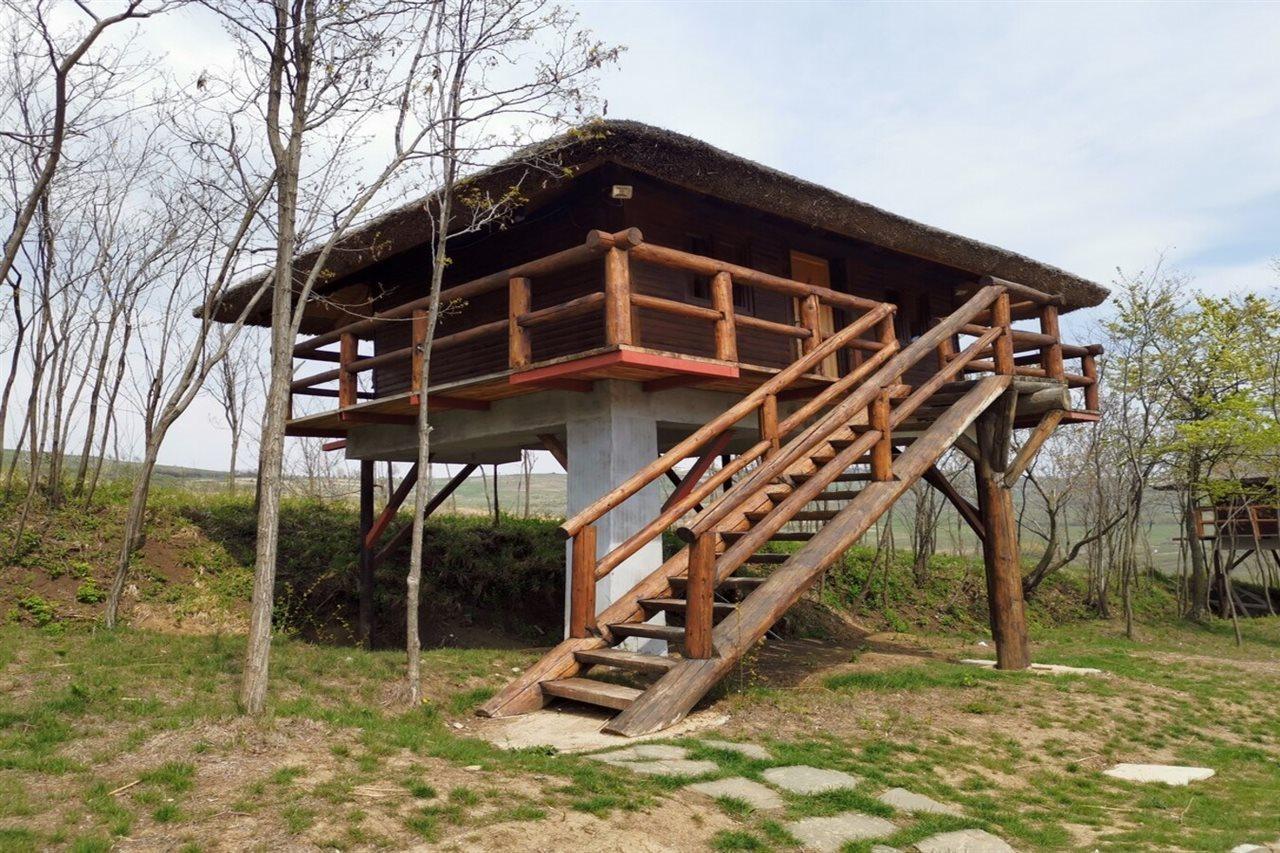 Hotel Ferma Dacilor Tohani Esterno foto