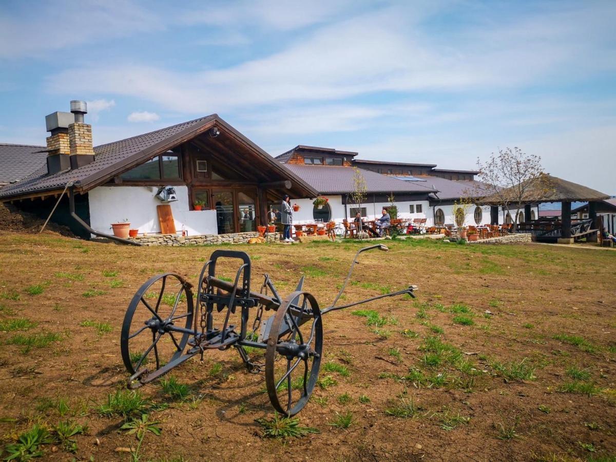 Hotel Ferma Dacilor Tohani Esterno foto