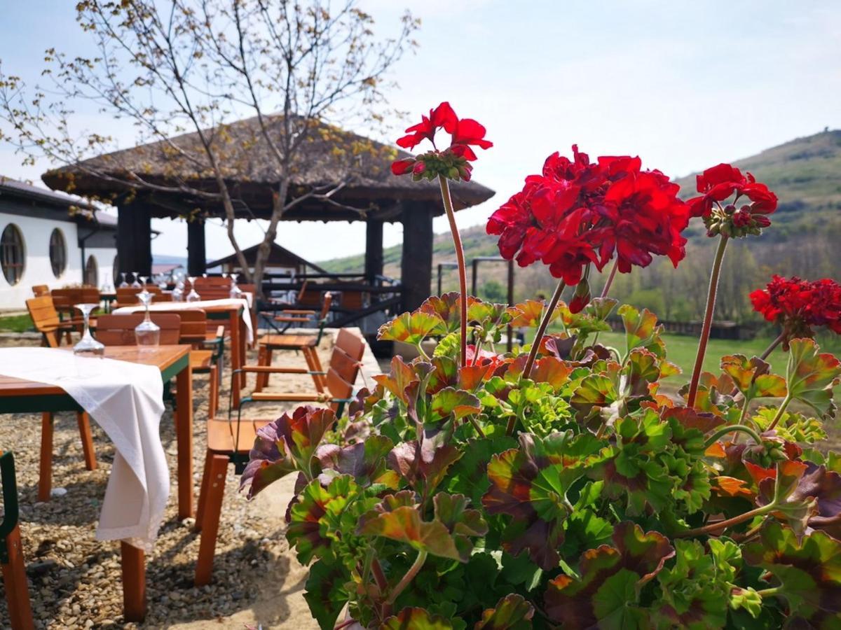 Hotel Ferma Dacilor Tohani Esterno foto