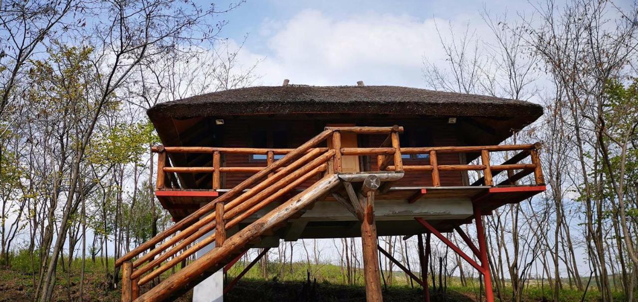 Hotel Ferma Dacilor Tohani Esterno foto