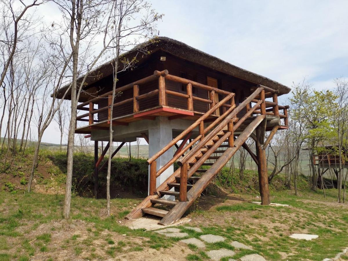 Hotel Ferma Dacilor Tohani Esterno foto